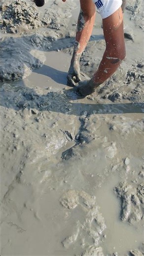 Golden Harvest: Catching Thousands of Tiny Prawns with a Fine Mesh Net!​