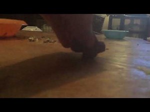 E4 ident 2001 - Purple E4 Logo Eating Camera