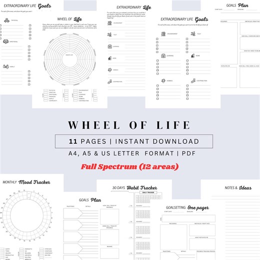 Wheel of Life Worksheet | Goal Setting, Self-discovery (PDF) - Etsy