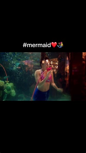 @The Silverton Hotel, Las Vegas, NV #mermaids #underthesea #freedom | mermaids