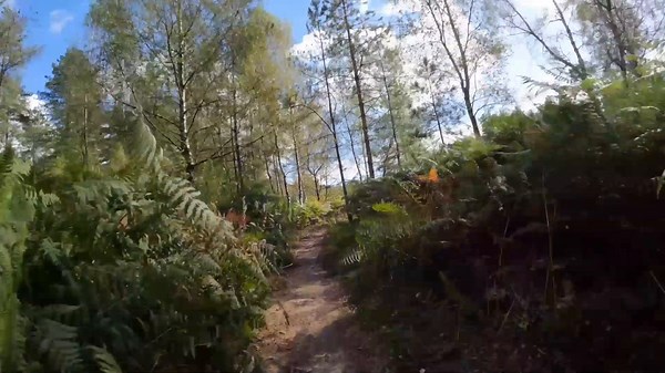 Best action cameras 2026