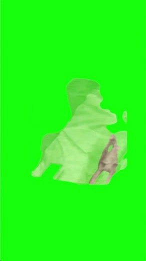 Mexican Alien Meme | Green Screen