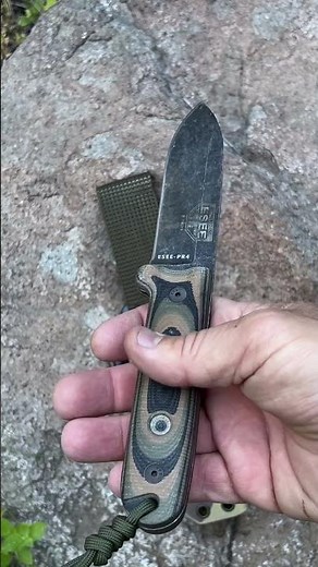 ESEE PR4 #collector #review #bushcraft #knife #survival #modified