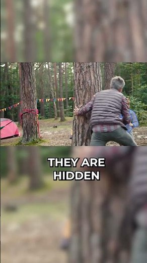 Meta AI just released a new AI Tool - SAM 2