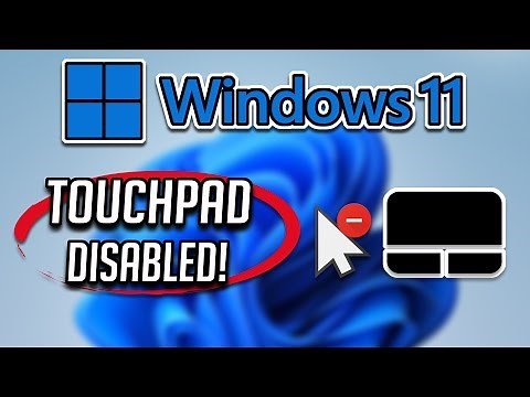 Touchpad Getting Disabled Automatically in Windows 11 FIX [2023]