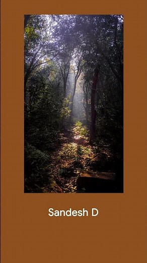 We love seeing how #TeamPixel spends their mornings 🌅 #PixOfTheDay #EarthDay