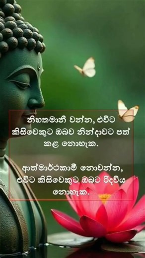 Eternal Words of the Buddha