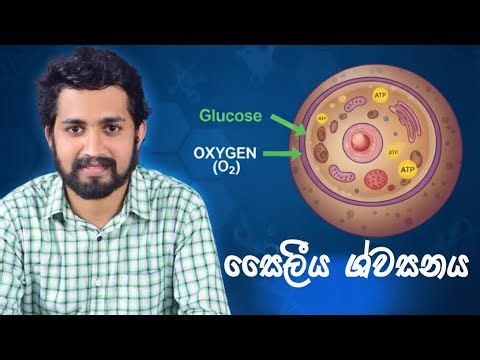 සෛලීය ශ්වසනය A/l Biology Unit-2 (2 වන ඒකකය )