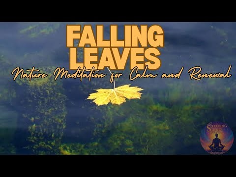 🍁 Falling Leaves – Nature Meditation for Calm and Renewal 🍁