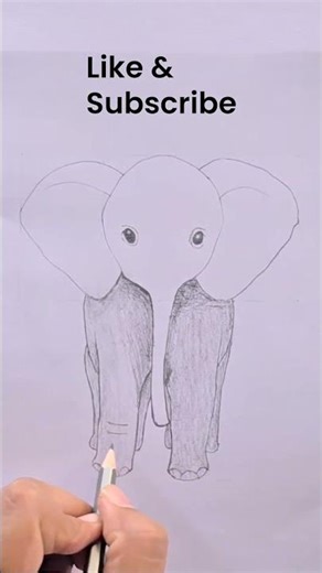 Elephant Drawing Timelapse