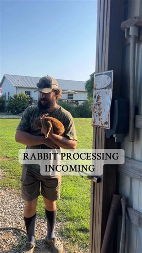Sara | For those asking for a rabbit processing video… here’s a repost of a video from summer to show you how we do it. There are easier ways to... | Instagram