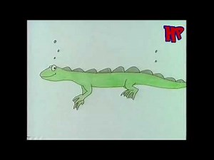 Every Single Animal In Playdays Animated Alphabet