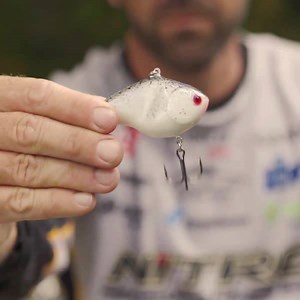 3K views · 112 reactions | NITRO Pro Casey Scanlon drops a lure tip that he uses to tally up big fall bass numbers. Casey Scanlon Professional Angler | Nitro Boats | Facebook