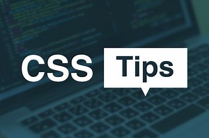 CSSでテーブル表の一部を固定してスクロールする方法 | 福岡のホームページ制作会社 | シンス株式会社