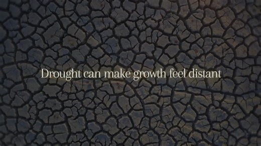 Welcome to Crossroads livestream! Thanks for worshiping with us today. We'd love to say hello to you in the chat! **Crossroads does not own the rights to any music played or performed during this livestream.** | Crossroads Community Church