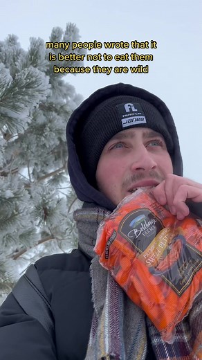 Trying to Hunt Canadian Wild Rabbits for the First Time 🇺🇦❤️🇨🇦