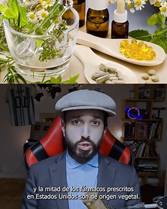 El robot perro! | Rodo