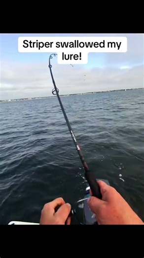 Never had a striped completely swallow a swim shad on me before #fishingfail #tightlines