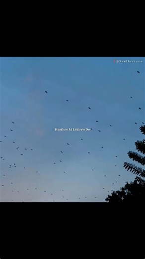 Roke Na Ruke Naina | Arijit Singh Magic ✨ #shots #lyricssong #explore #vibe