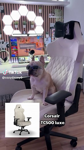 Ultimate Gaming Setup Guide