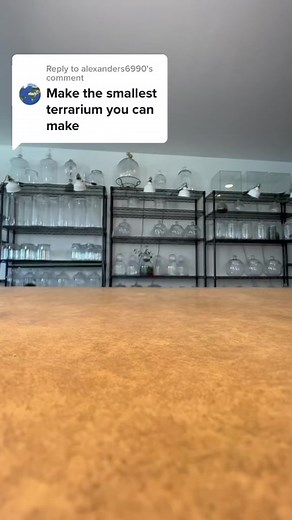 Creating Your Own Tiny Terrarium: A Step-by-Step Guide