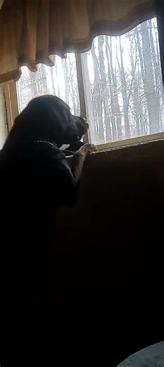 Hahahaha | Gordon Scott