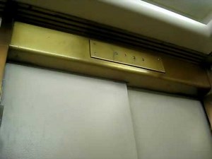 Otis Traction North Elevators At Natural History Museum