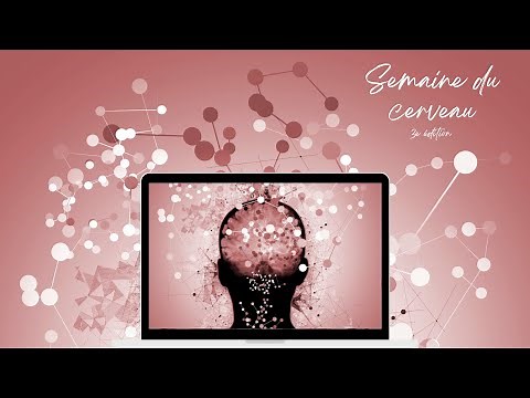 L’attention et la concentration à l’école avec Jean-Phillipe LACHAUX