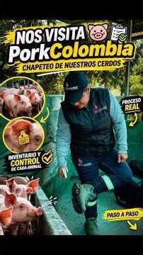 Nos visitó PorkColombia 🐷🔥 ¡Así es el proceso REAL!