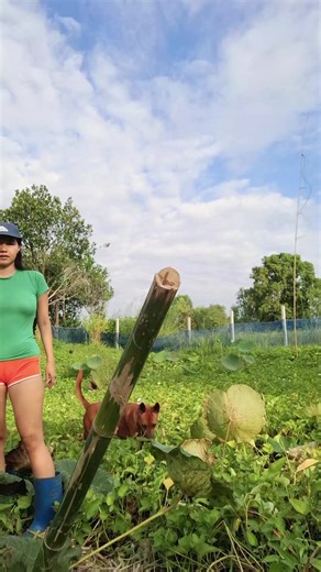 อยู่หลังบ้านนะ