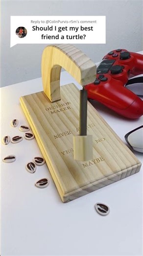 Should I get my best friend a turtle? #justaskdecisionmaker