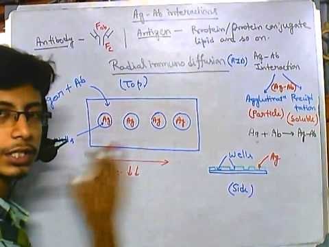 Radial immunodiffusion