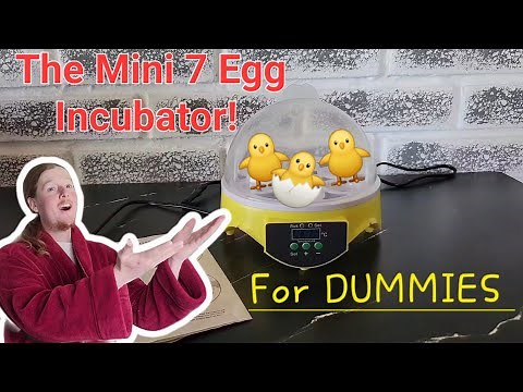 How to use the mini 7 egg incubator! FOR DUMMIES!!!