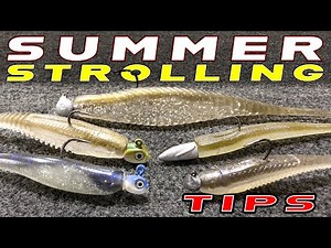 The Technique That Took Over Bass Fishing! (Explained For Beginners And Experts)