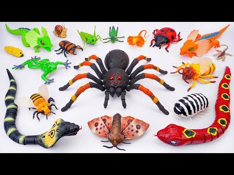 💛toy asmr💛 ZURU Robo Alive Animals: Huge Tarantula - Chameleon - Anaconda ASMR ✨ No talking 🔇