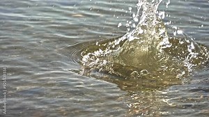 A stone creates splashes and ripples as it hits the surface of a tranquil water