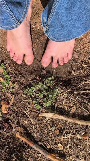 I Miss Gardening Barefoot