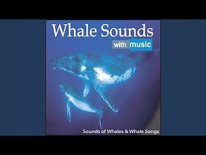 Whale Sounds With Music