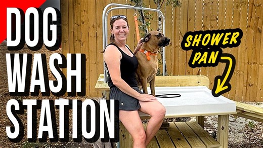 Deluxe Dog Washing Station with Plumbing and Access Ramp