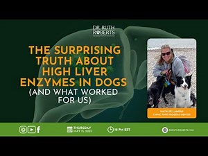 Elevated Liver Enzymes in Dogs? Here’s What REALLY Works (Without Harsh Drugs)