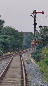 Kereta api Babaranjang kosongan memasuki jalur 3 stasiun labuhan ratu.. #keretaapi #babaranjang #cc205 #divre4 #lampung #train #trainz #fyp #reels #videokereta #videokeretaapi #railways #railfans #keretaapi #keretaapikita #bukansepurbiasa | Ardan Mifta Varilla