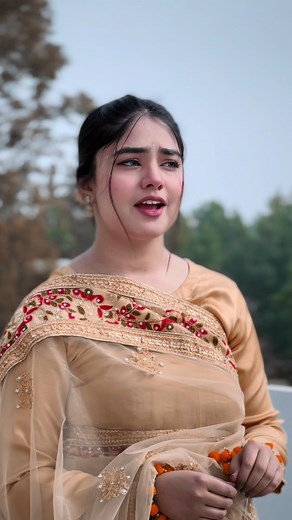 Surme Dani: Full Song and Lyrics