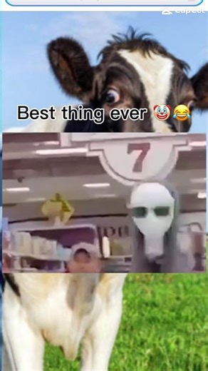 ME SHOPING WITH MOM FOR THANKSGIVING🤣