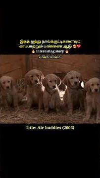 Hero goat saves five puppies from thieves #shorts #short