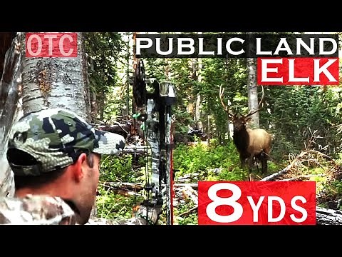 COLORADO OTC ARCHERY ELK HUNT -- PUBLIC LAND BOW SEASON