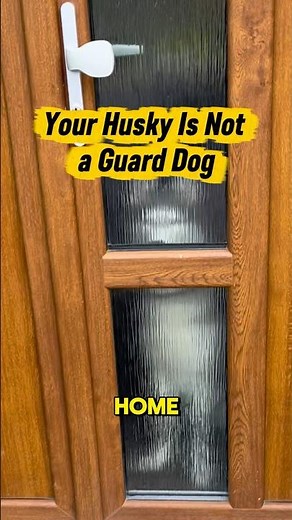 Your Husky Is Not a Guard Dog