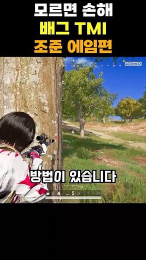 배그 TMI | 조준 에임편 (이거보면 당신은 피킹 고수!)