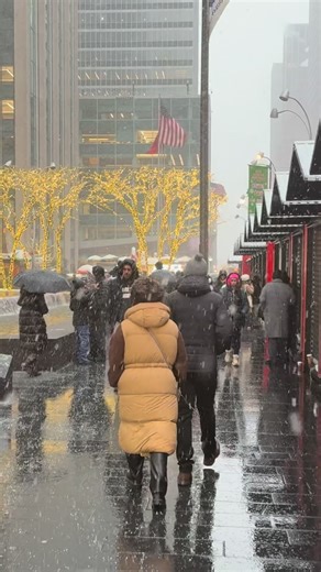 StrollingTheCity on Instagram: "NYC snow walk"