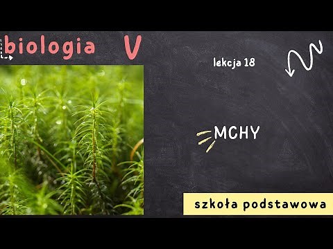 Biologia klasa 5 [Lekcja 18 - Mchy]