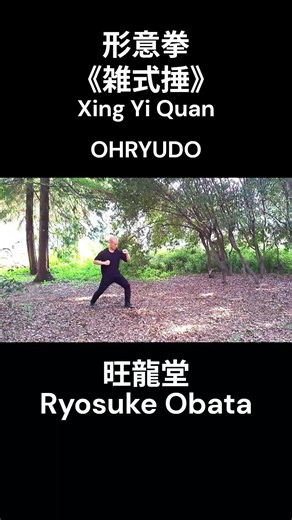 伝統武術【形意拳】套路《雑式捶》Short～Traditional Martial Arts – Xing Yi Quan “Za Shi Chui” #xingyi #martialarts